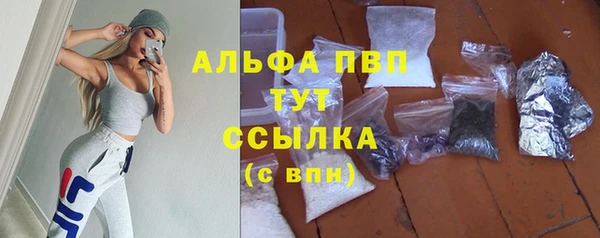 spice Мегион