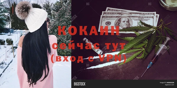 spice Мегион