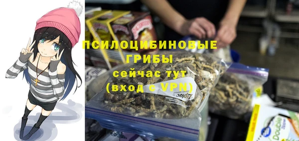 твердый Алексеевка
